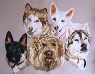 Five Dogs Portrait